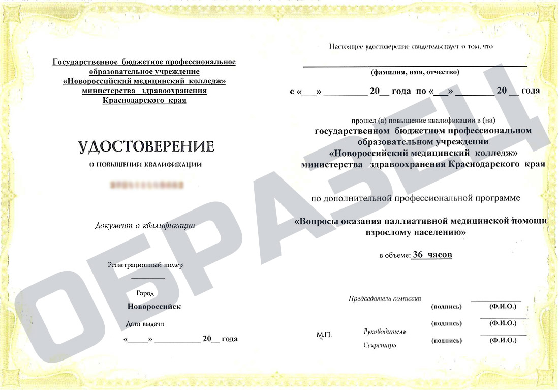 29. Вопросы оказания паллиативной медицинской помощи взрослому населению